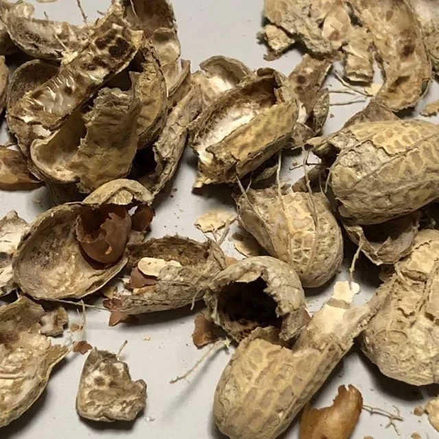 Cáscara de maní, materia prima del biocompuesto
